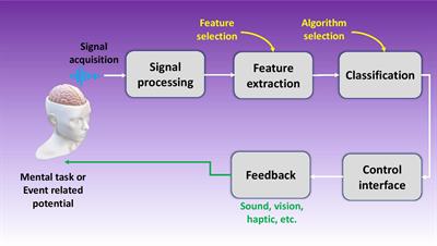 Signal Generation, Acquisition, and Processing in Brain Machine Interfaces: A Unified Review